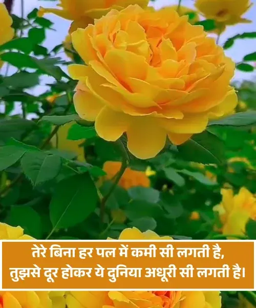 Miss You Husband Romantic Shayari