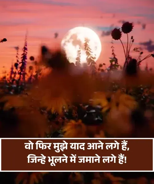  Miss You Shayari