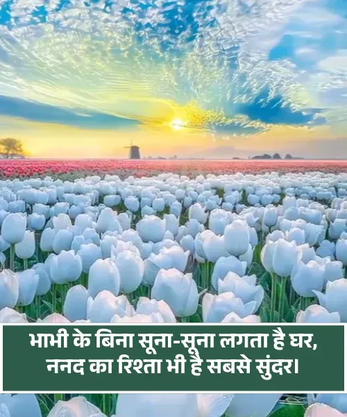  Nanad Bhabhi Shayari