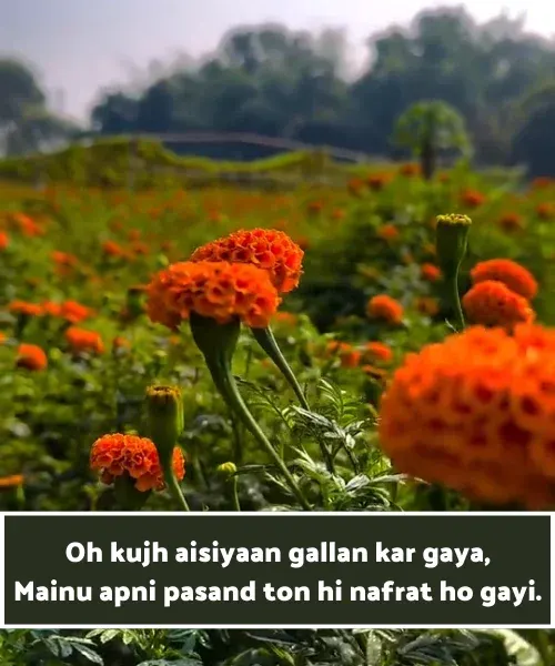 Punjabi Shayari in English