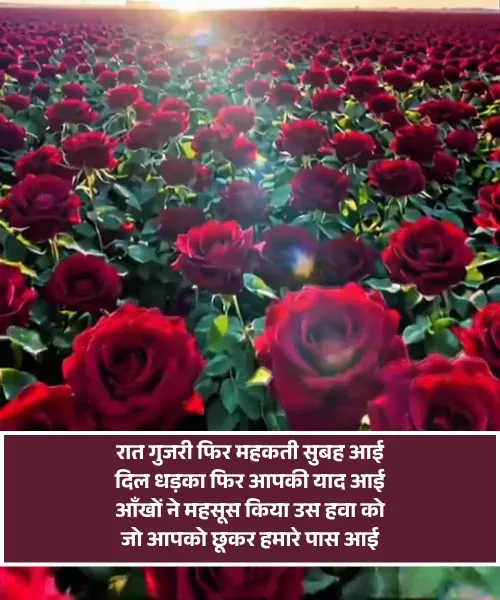 Romantic Good Morning Shayari