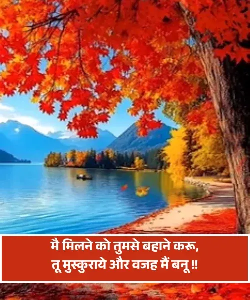 Romantic Good Night Shayari