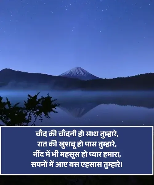 Romantic Good Night Shayari