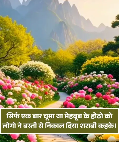  Romantic Shayari