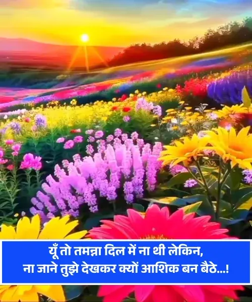 Romantic Shayari for Wife in Hindi