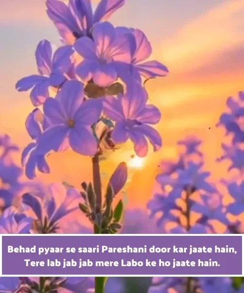 Romantic Shayari in English