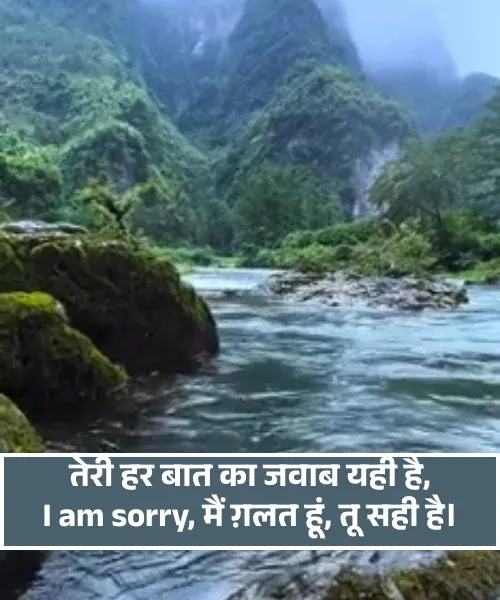  Sorry Shayari