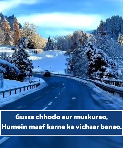 Sorry Shayari in English