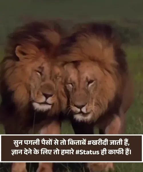 Stylish Shayari Attitude Hindi Stylish Shayari Attitude Hindi