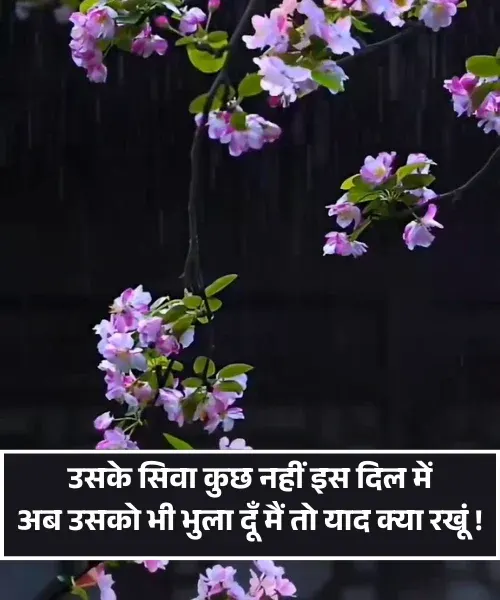 True Love Miss You Shayari