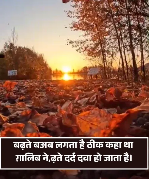 Whatsapp Dard Bhari Shayari